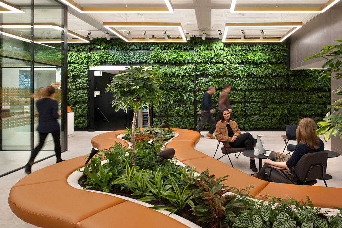 People meeting in a planted biophilic community space